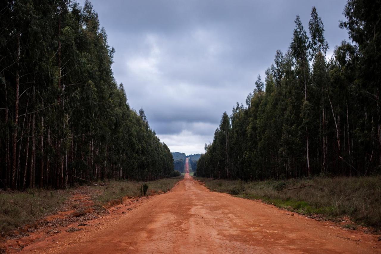 The Bubble Valley Piet Retief Exterior foto